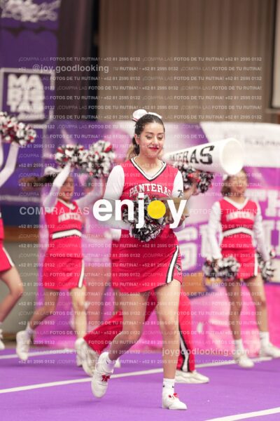 Pcp0666