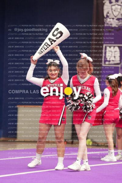 Pcp0675