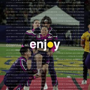 Tav0344