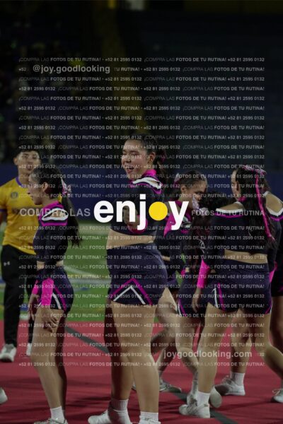 Tav0353