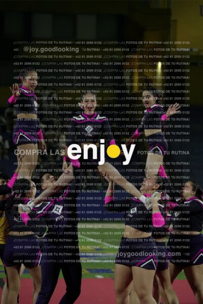 Tav0361