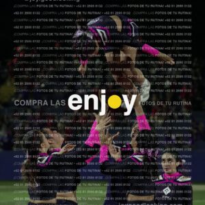 Tav0493