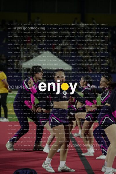 Tav0595