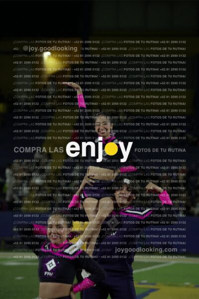 Tav0619
