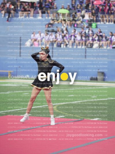 Vixra Joy03270 Compressed