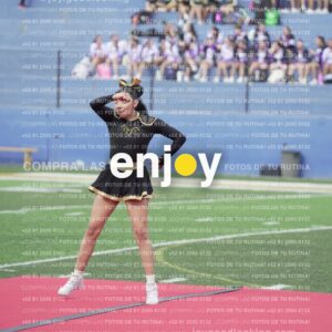 Vixra Joy03270 Compressed