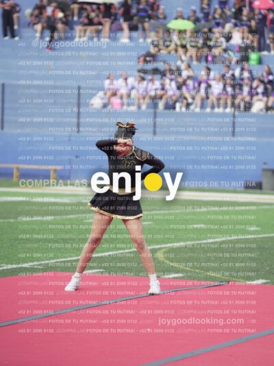 Vixra Joy03271 Compressed