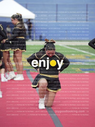 Vixra Joy03275 Compressed