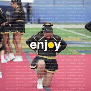 Vixra Joy03275 Compressed