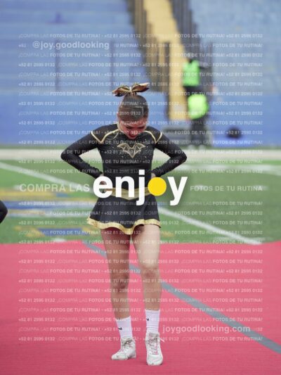 Vixra Joy03276 Compressed