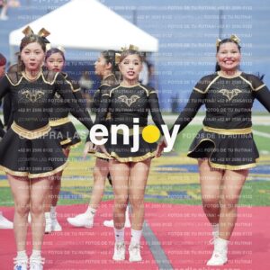 Vixra Joy03279 Compressed