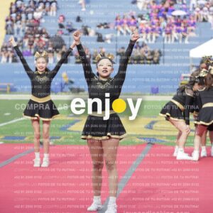 Vixra Joy03284 Compressed