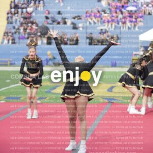 Vixra Joy03285 Compressed
