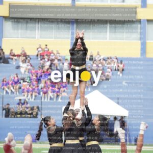 Vixra Joy03288 Compressed