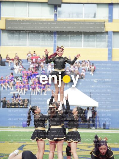 Vixra Joy03290 Compressed