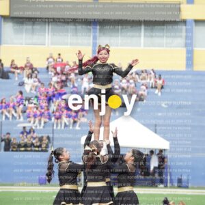 Vixra Joy03290 Compressed