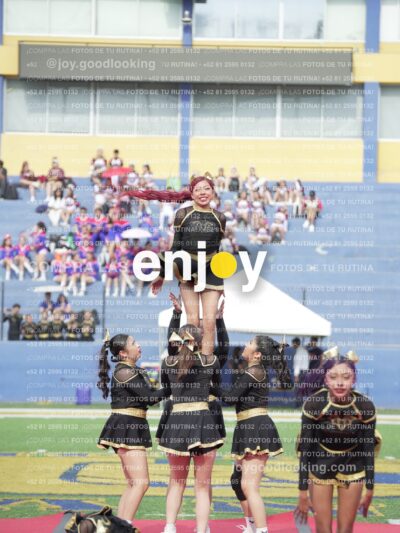 Vixra Joy03291 Compressed