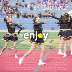 Vixra Joy03295 Compressed