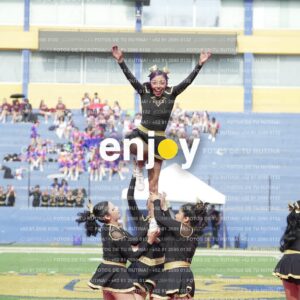 Vixra Joy03300 Compressed