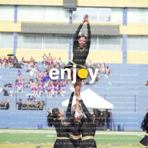 Vixra Joy03301 Compressed