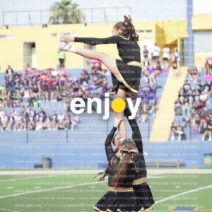 Vixra Joy03305 Compressed