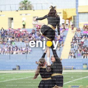 Vixra Joy03306 Compressed