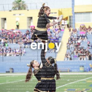 Vixra Joy03307 Compressed