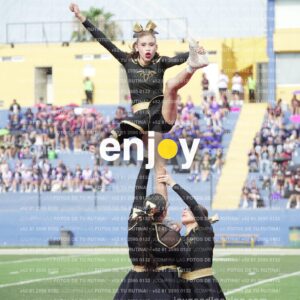 Vixra Joy03309 Compressed