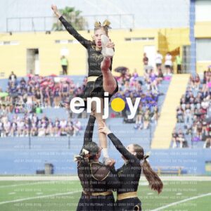 Vixra Joy03310 Compressed
