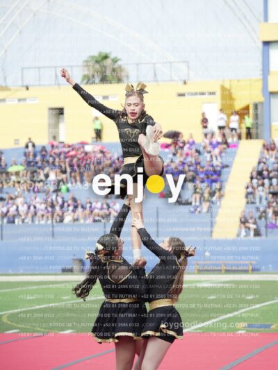 Vixra Joy03311 Compressed