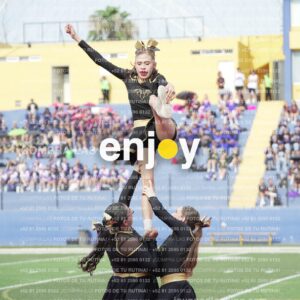Vixra Joy03311 Compressed
