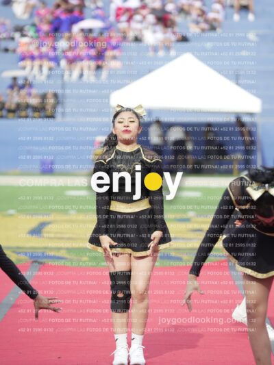 Vixra Joy03314 Compressed