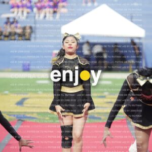 Vixra Joy03314 Compressed