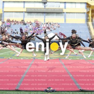 Vixra Joy03319 Compressed