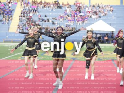 Vixra Joy03330 Compressed