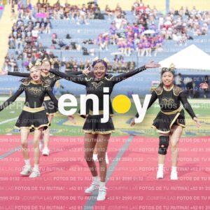 Vixra Joy03330 Compressed