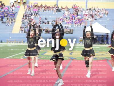 Vixra Joy03331 Compressed