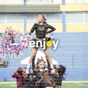 Vixra Joy03334 Compressed