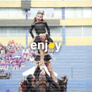 Vixra Joy03342 Compressed