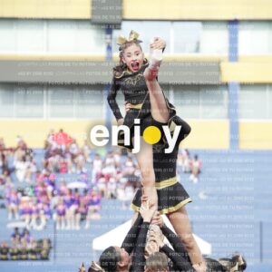 Vixra Joy03346 Compressed
