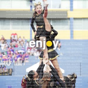 Vixra Joy03347 Compressed