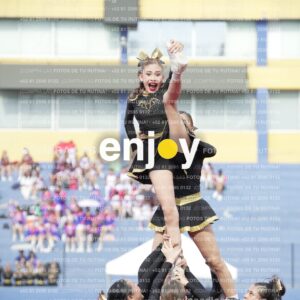 Vixra Joy03350 Compressed