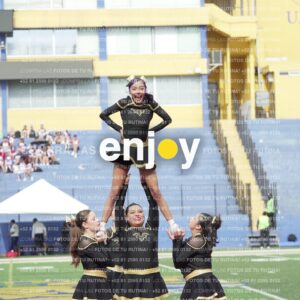 Vixra Joy03355 Compressed