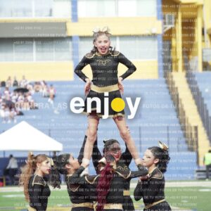 Vixra Joy03363 Compressed