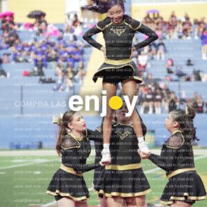Vixra Joy03365 Compressed