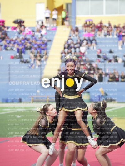 Vixra Joy03366 Compressed