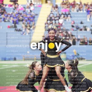 Vixra Joy03366 Compressed