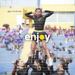 Vixra Joy03369 Compressed