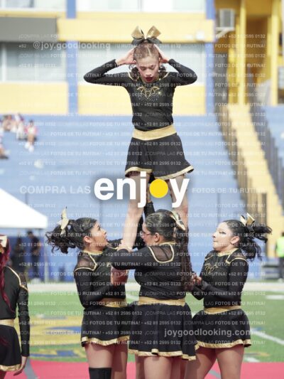 Vixra Joy03370 Compressed