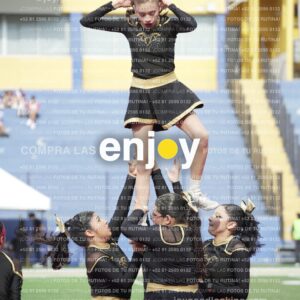 Vixra Joy03371 Compressed